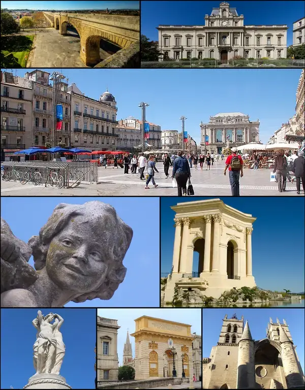 Abri Piscine Rétractable Spécialiste abri de piscine Montpellier
